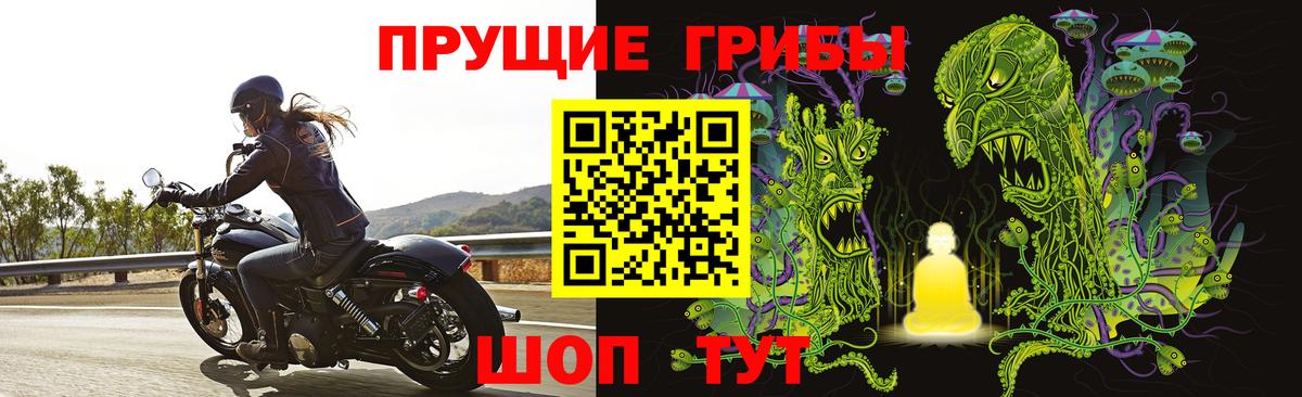 Сунжа  Галлюциногенные грибы мухоморы  Вход с VPN 